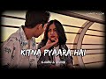 Kitna Pyara Hai Yeh Chehra Slowed and Reverb #Uditnarayan + #AlkaYagnik #lofimusic #90ssong