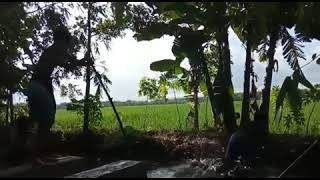 Download lagu Kowe Tak Sayang - Sayang Story Wa #BikinNgakak mp3 Download lagu Kowe Tak Sayang - Sayang Story Wa #BikinNgakak mp3