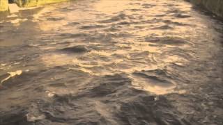 "This Fight" by Freeze The Atlantic