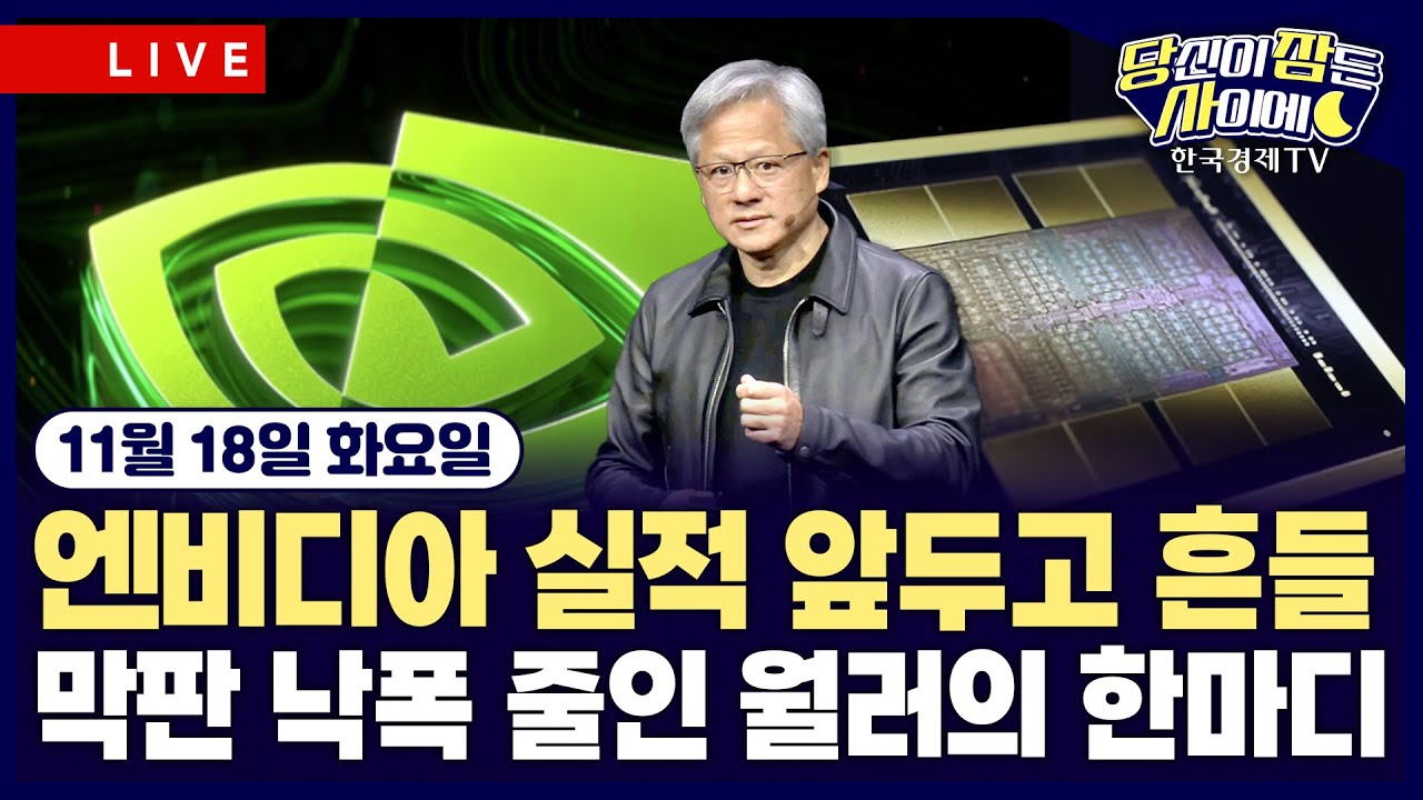 [🔴11/18 #당잠사] 美 3대지수 하락…엔비디아 실적 앞두고 경계감 고조 | #아마존 #엔비디아 #알파벳