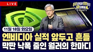 [11/18 #당잠사] 美 3대지수 하락…엔비디아 실적 앞두고 경계감 고조 | 막판 낙폭 줄인 월러의 한마디…