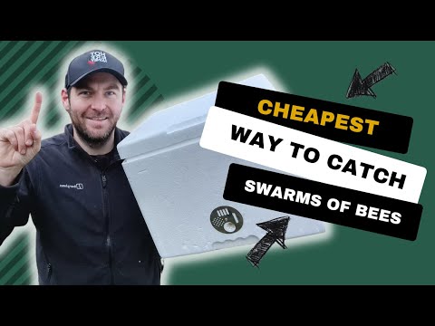 Cheapest Way To Catch Bees - Start Beekeeping For Free - Easiest Way To Catch Swarms