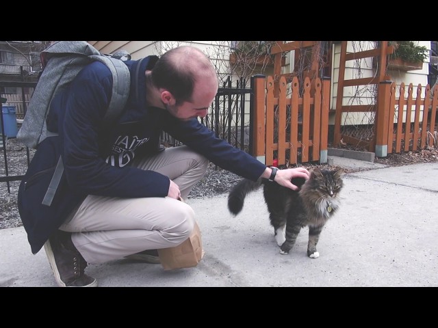 UQAM vue par Yann Vuillermoz