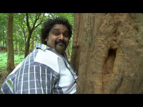Thani Nadan I Ep 99 Part 1 - Parippu kalan recipe I Mazhavil Manorama
