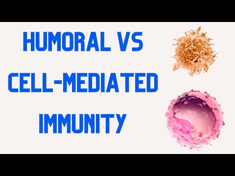 HUMORAL IMMUNITY vs CELL MEDIATED IMMUNITY