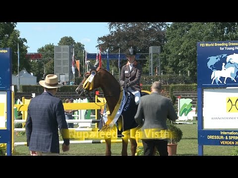 Hannoveraner Springpferde-Championat 2015 - Sechsjährige Pferde