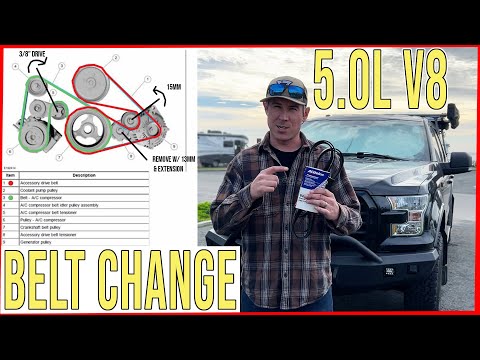Ford F150 5.0L V8 Belt Change in 15 minutes (EASY)
