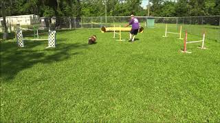 Egan PIII jumpers at home 2 109083