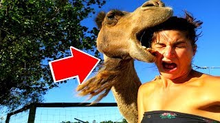 НЕЖДАНЧИК! НЕ ДЕТСКИЕ ПРИКОЛЫ l ЛУЧШИЕ СМЕШНЫЕ МОМЕНТЫ #541