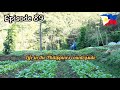 How I work in our mini-farm? | Life in the Philippines countryside #buhayprobinsya