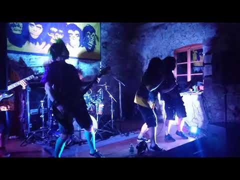 Badass Soundfactory (B.A.S.F.) - I Like To Move It (Live in Arnoldstein)