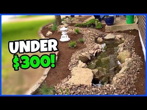 DIY Budget Pond Build For Under $300!