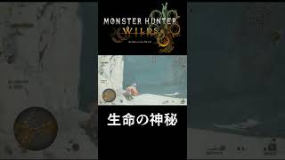 生命って本気出せばなんでも出来るんだなー　#モンスターハンターワイルズ　#monsterhunterwilds #モンハンワイルズ