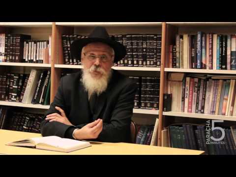 La paracha de la semaine : Michpatim