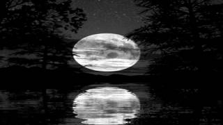 goodnight.gif