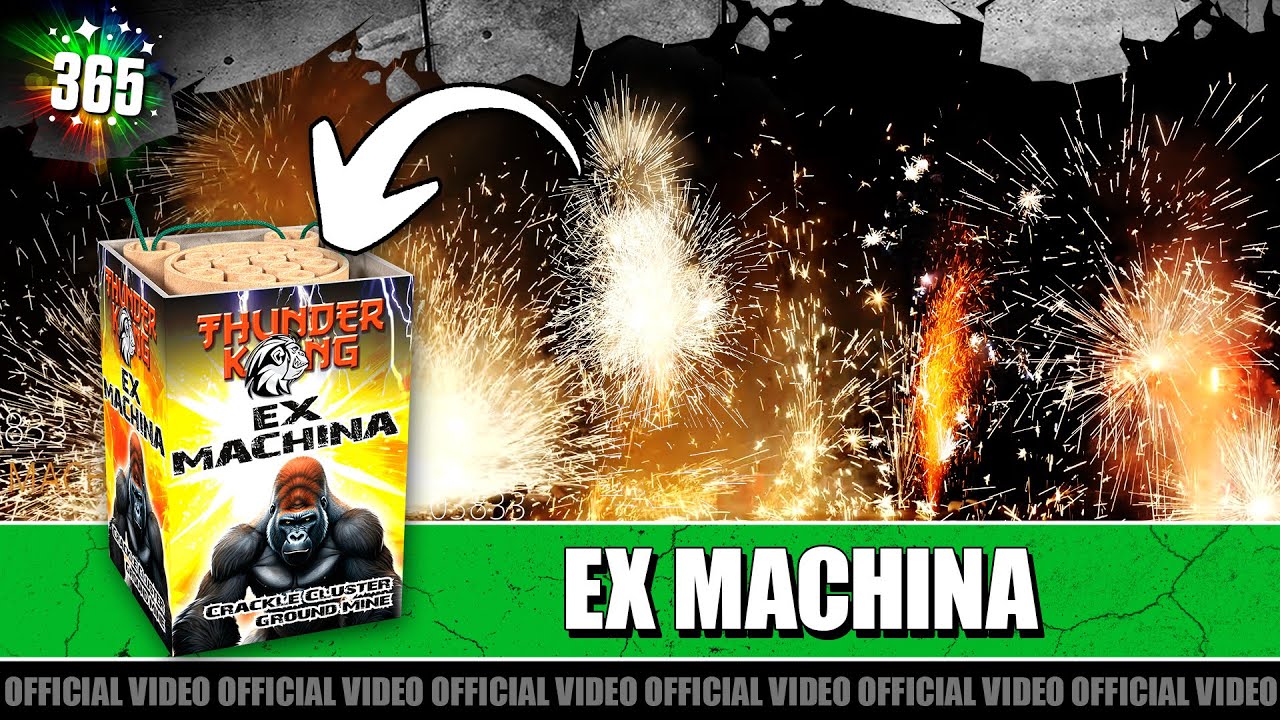 Video Ex Machina