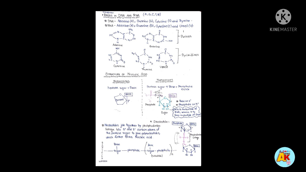 BIOMOLECULES Class 12th Chemistry FREE PDF NOTES for JEE/NEET & BOARD Prepration||HANDWRITTEN||