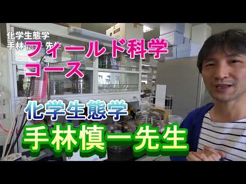 【フィールド科学コース】教員紹介（化学生態学・手林先生）
