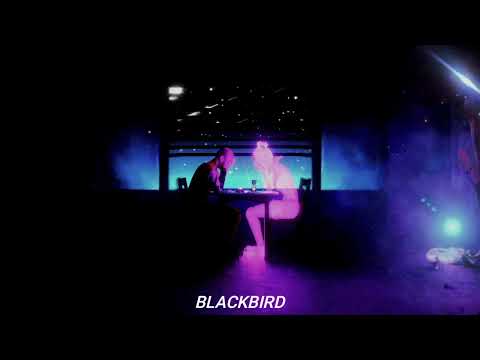 Traición - Alex Anwandter