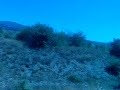 WiLD WILD WORLD 