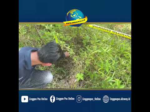 Detik-detik Pol PP Empat Lawang Temukan Bayi di Semak-semak