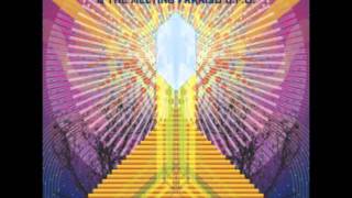 AMT & The Melting Paraiso UFO - Electric Psilocybin Flashback