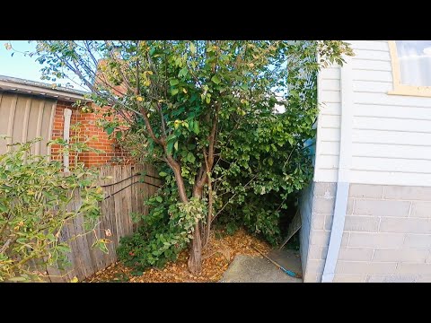 Surprising Our Nicest Client With A Massive Cleanup!