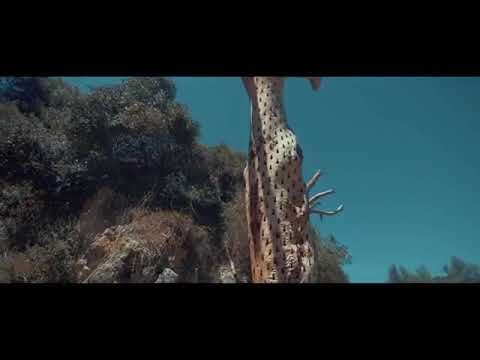 NENNY x i.M - Bússola