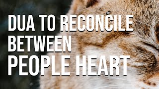 Dua to Reconcile Between People Hearts, Islamic dua to soften someone