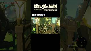 【つけゆうの #shorts 動画！】 #ゼルダの伝説 ブレスオブザワイルド 過激な調理