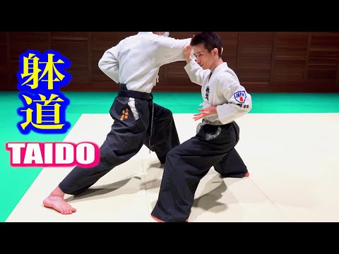 躰道のフットワーク【運足】の秘密【TAIDO】Secret of Footwork