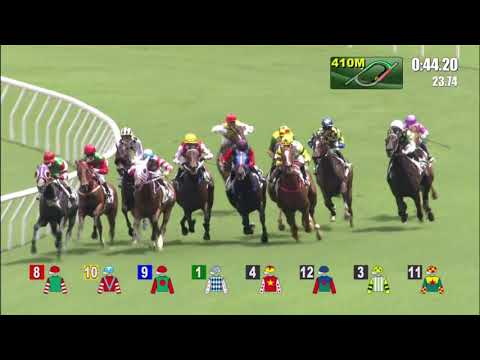 13/6/2021 (750) Blaze Warrior - J Moreira