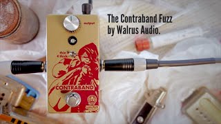 Video thumbnail for Walrus  Audio - Contraband by 60 Cycle Hum