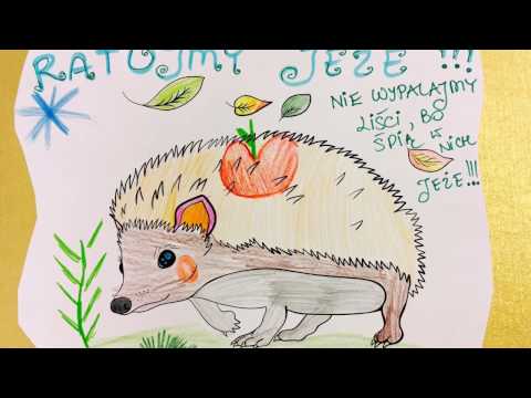 RATUJMY JEŻE !!!