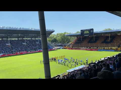 Waldhof Mannheim - Dynamo Dresden 10.05.2025 Blau und Schwarz