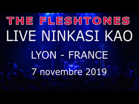 The FLESHTONES Live @Ninkasi Kao - Lyon (France) - 7 novembre 2019