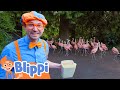 Blippi Feeds Plays With Animals At The Zoo Animals For Kids Educational Videos For Kids