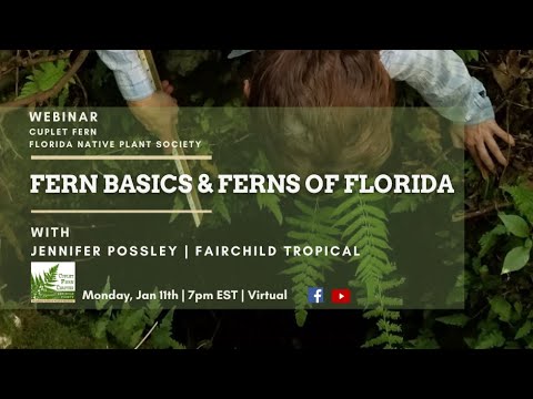 , title : 'Fern Basics and Ferns of Florida🌿 With Jennifer Possley of Fairchild Tropical Botanic Garden'