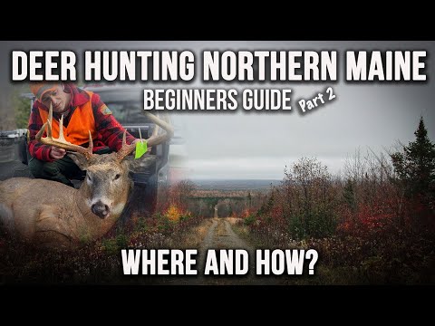 The WHERE & HOW | Beginners Guide To Deer Hunting Northern Maine Part II