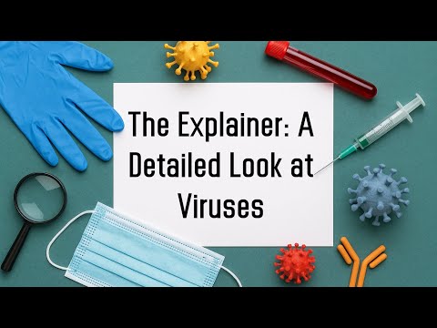 D. 01. The Explainer A Detailed Look at Viruses