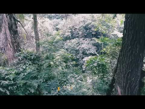 Aexion - Slipstream Visual Album