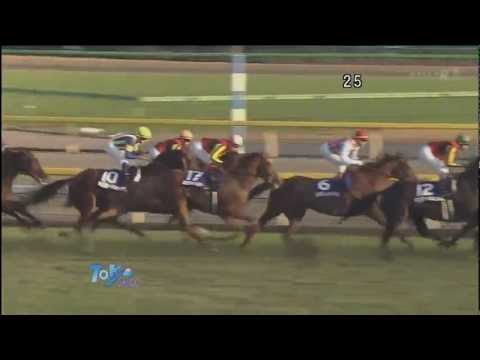 第32 回  ジャパンカップ　GⅠ 「 ジェンティルドンナ」 優勝