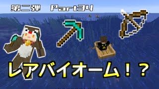 【マイクラ第二弾】Part34砂漠を探しに来たらまさかの！？