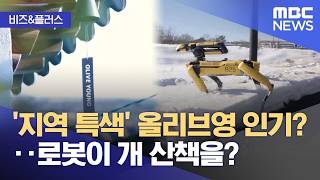 [비즈&플러스] '지역 특색' 올리브영 인기?‥로봇이 개 산책을? (2026.04.17/뉴스투데이/MBC)