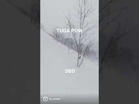 栂池パウダーDBDっていいね