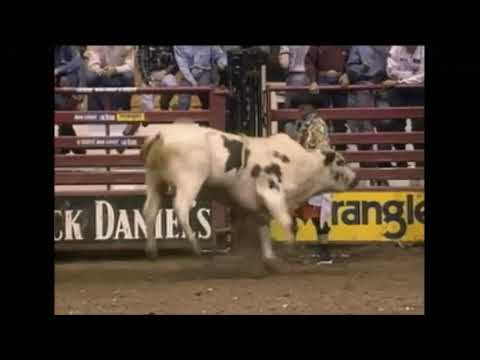 Panhandle Slim bucks Jesse Schellhamer - 00 PBR Albuquerque