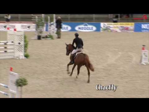 Chacfly - english - 2017