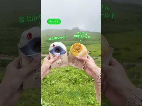 箱根 駒ヶ岳ロープウェー「芦ノソラ」リニューアル（Mt.KOMAGATAKE in Japan）