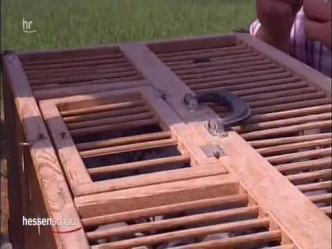 Sontra / Hornel im HR Fernsehen