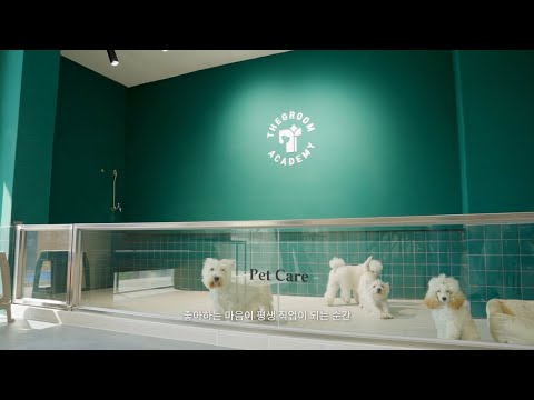 더그룸애견미용학원 유튜브 이미지 1